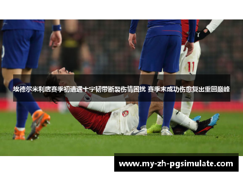 埃德尔米利唐赛季初遭遇十字韧带断裂伤情困扰 赛季末成功伤愈复出重回巅峰 埃德尔米利唐赛季初遭遇十字韧带断裂伤情困扰 赛季末成功伤愈复出重回巅峰