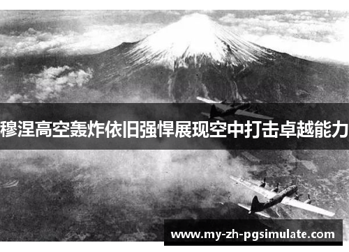 穆涅高空轰炸依旧强悍展现空中打击卓越能力